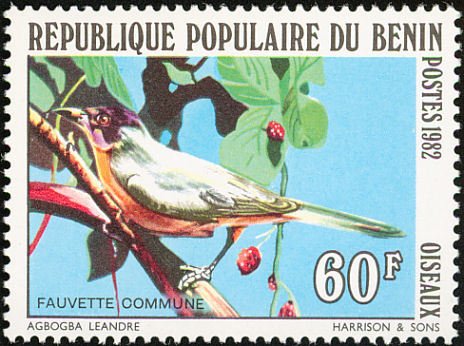 Menetries's Warbler (Sylvia mystacea)
