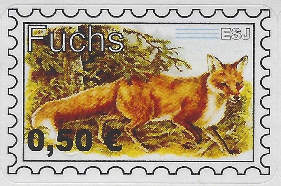 Red Fox (Vulpes vulpes)