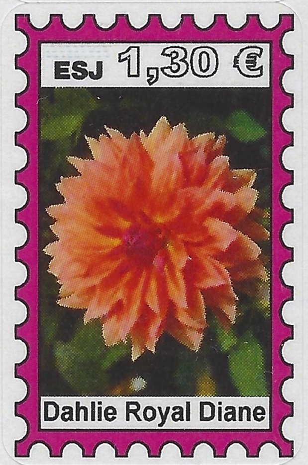 Dahlie Royal Diane
