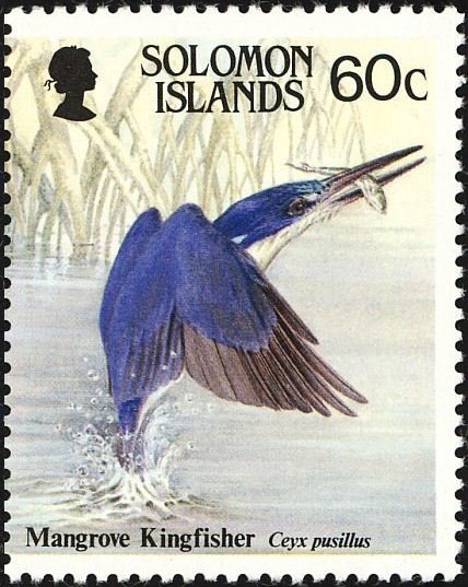 Little Kingfisher (Ceyx pusillus)