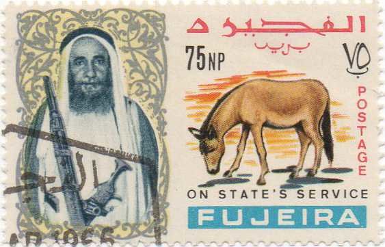Donkey