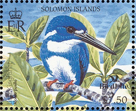 Little Kingfisher (Ceyx pusillus)