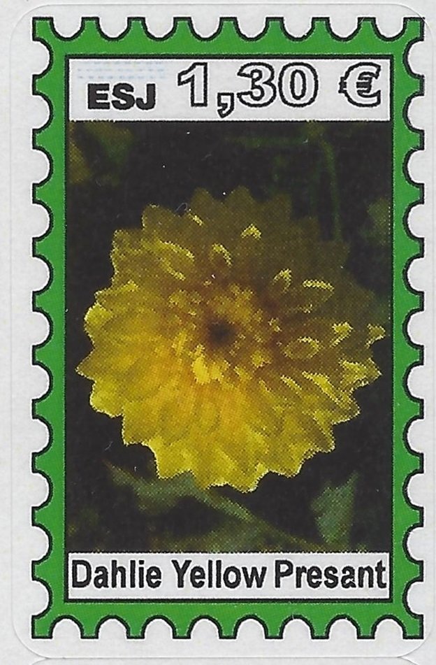 Dahlie Yellow Presant