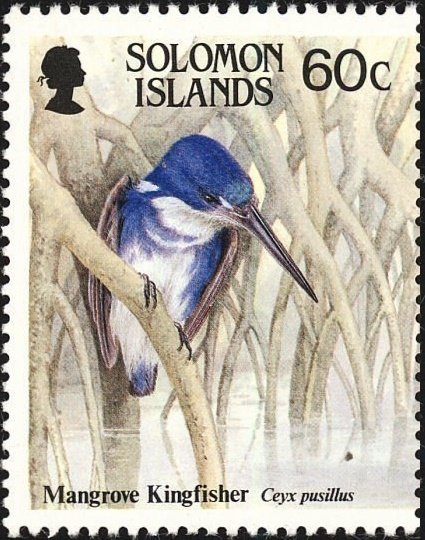 Little Kingfisher (Ceyx pusillus)