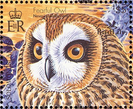 Fearful Owl (Nesasio solomonensis)