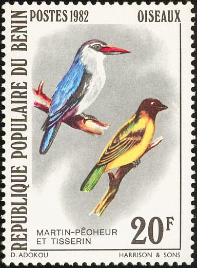 Woodland Kingfisher (Halcyon senegalensis), Village Weaver (