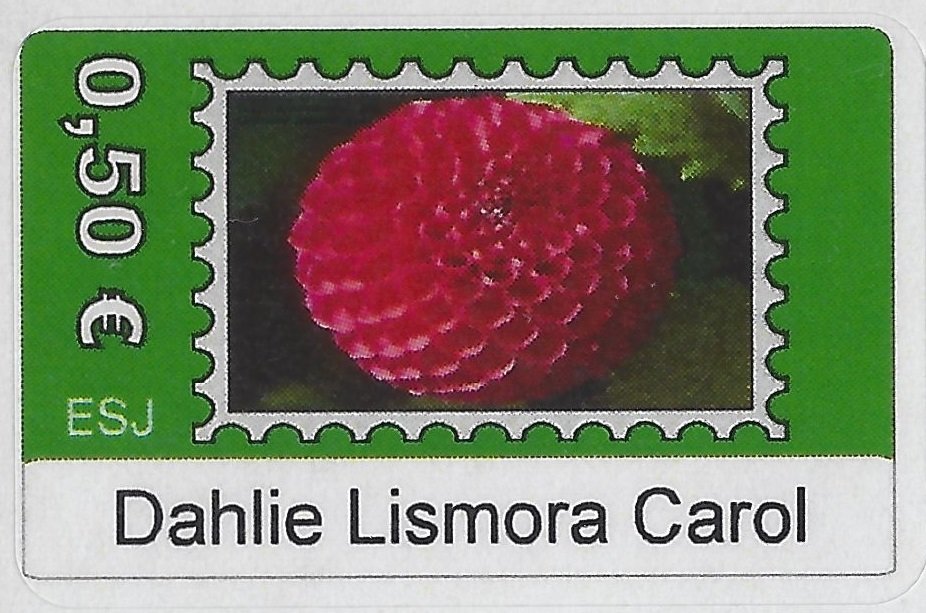 Dahlie Lismora Carol