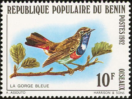 Bluethroat (Luscinia svecica)