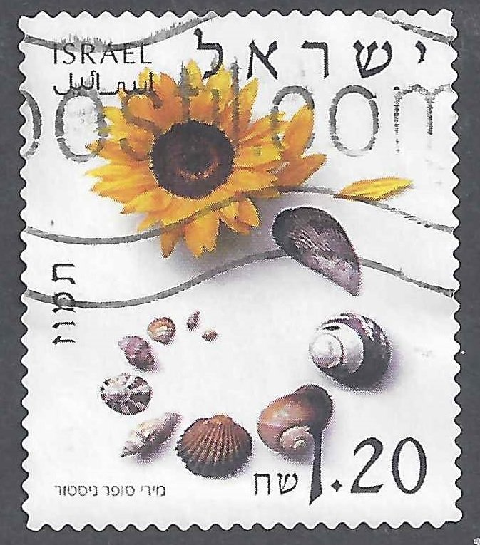 Tammuz