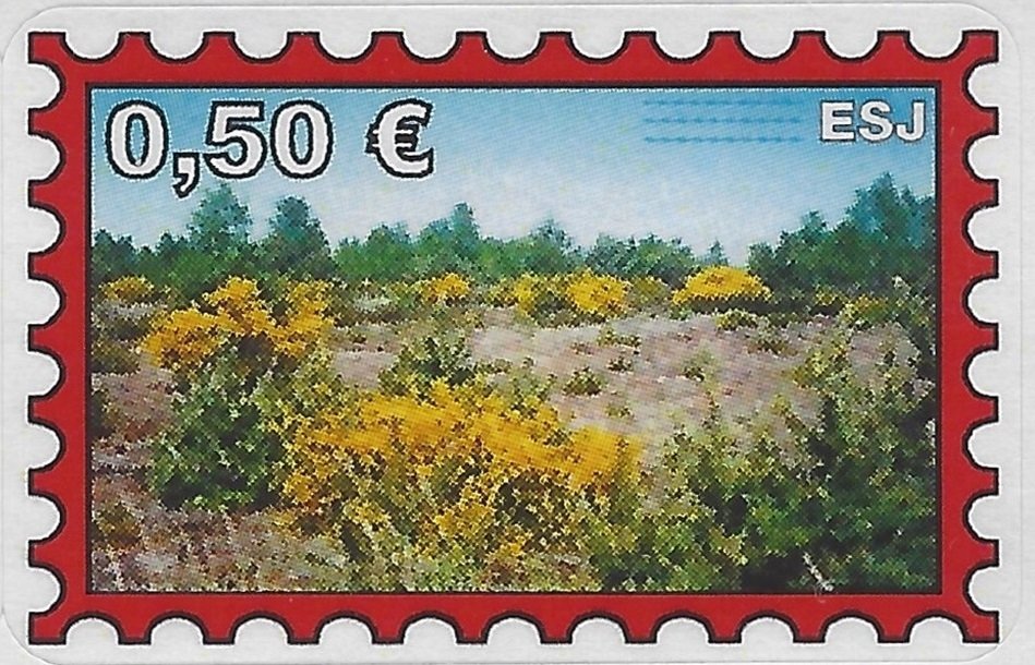 Die Glücksburger Heide