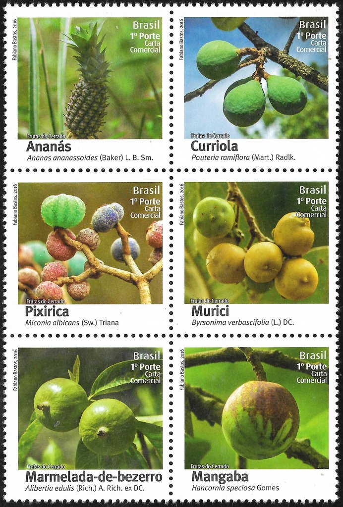 Fruits of Cerrado Block