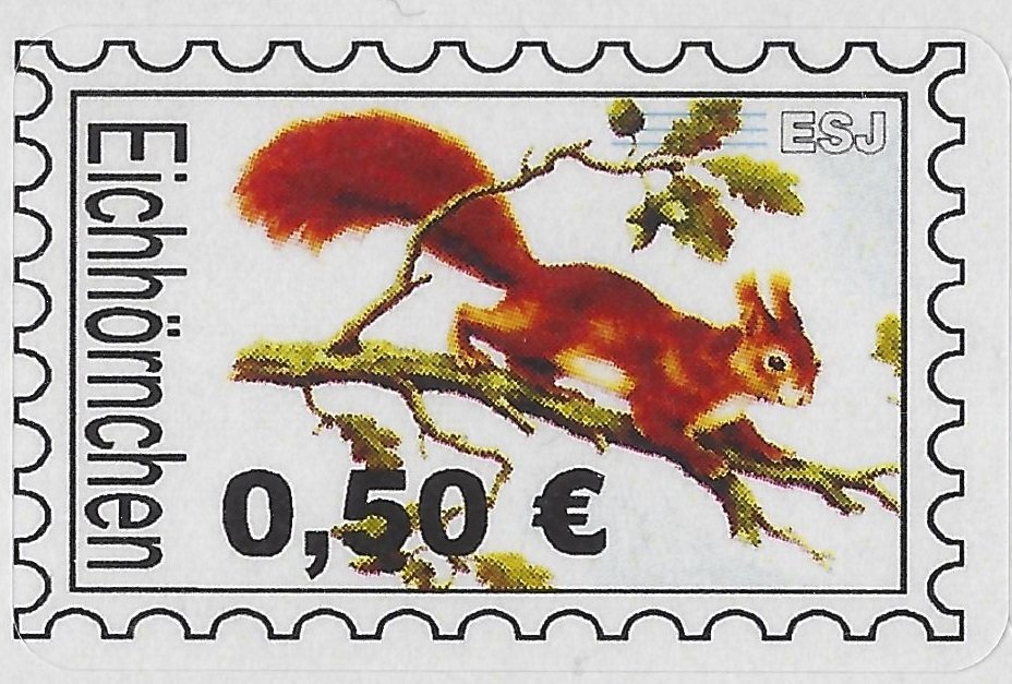 Red Squirrel (Sciurus vulgaris)
