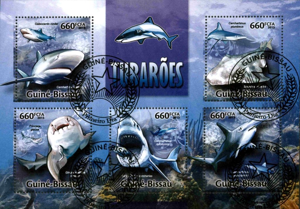 Sharks
