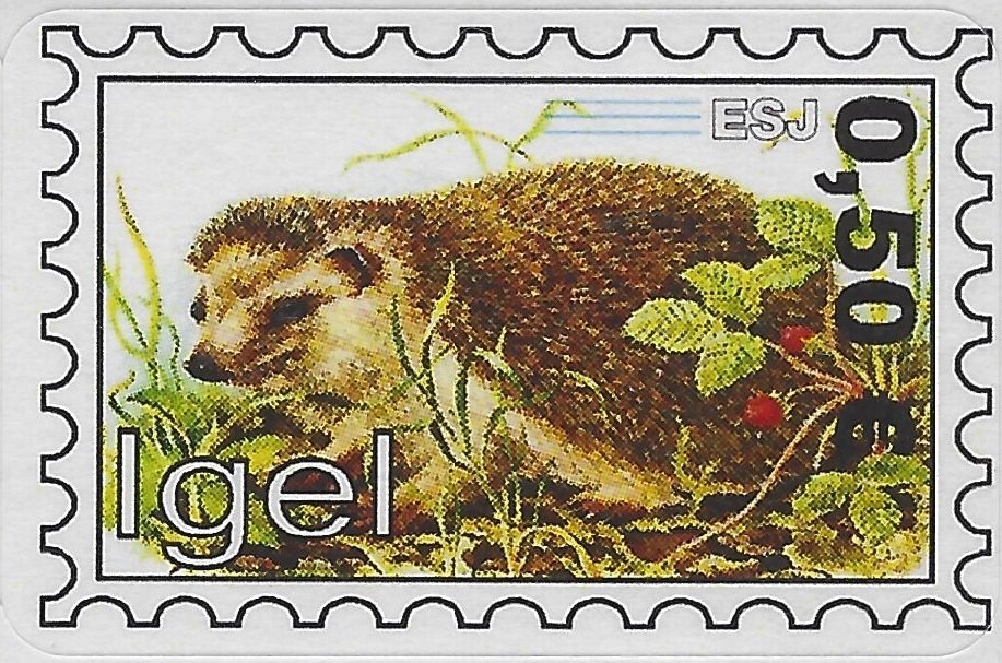 European Hedgehog (Erinaceus europaeus)