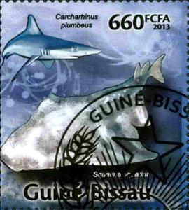 Stamp, Sandbar Shark (Carcharhinus plumbeus), Angelshark (Squatina , Guinea-Bissau,  , Animals (Fauna), Fishes, Sea Life, Sharks