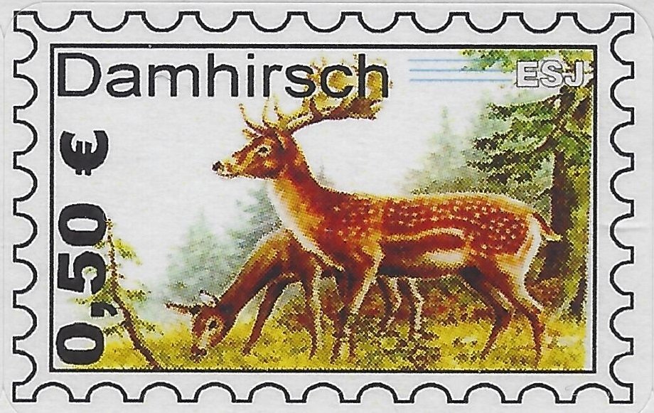 Fallow Deer (Dama dama)