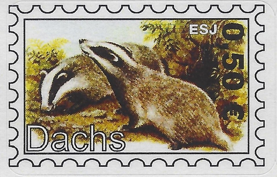 European Badger (Meles meles)