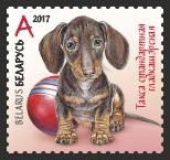 Puppies: Dachshund