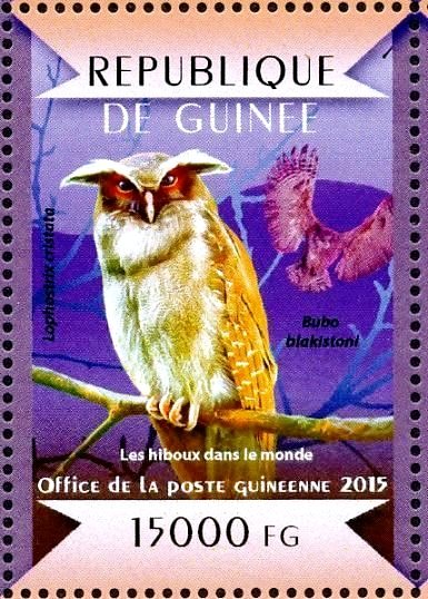 Blakiston's Fish Owl (Bubo blakistoni), Crested Owl (Lophost