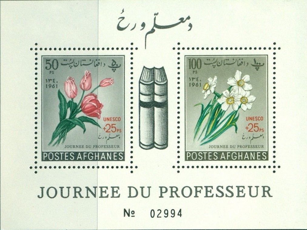 Tulips and Narcissus