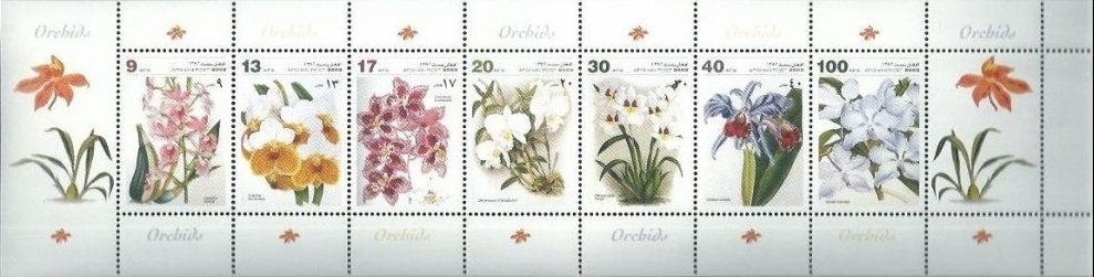 Orchids