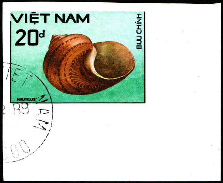 Nautilus