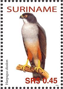 Stamp, Rufous-thighed Kite    Harpagus diodon, Suriname,  , Birds