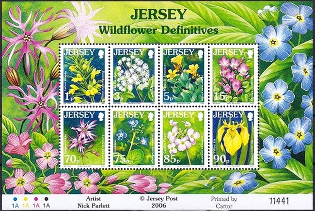 Wild Flowers