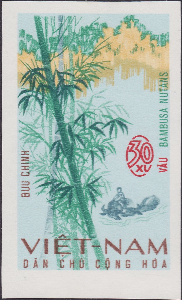 Bambusa nutans