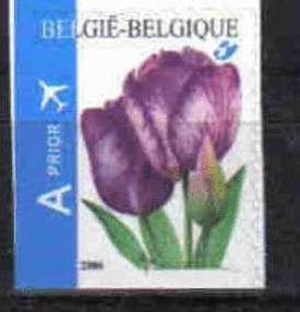 Rembrandt Tulip Self-adhesive - bottom + left imperf