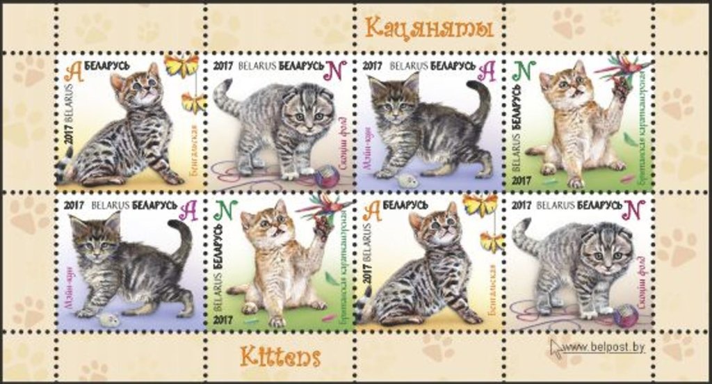 Kittens