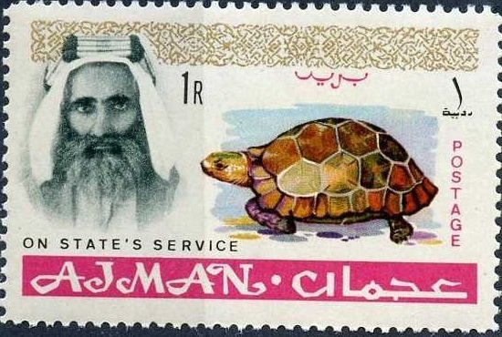 Sheik Rashid and Spur-thighed Tortoise (Testudo graeca)
