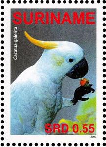 Stamp, Yellow-crested Cockatoo    Cacatua sulphurea, Suriname,  , Birds, Parrots