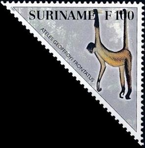 Stamp, Ateles geoffroyi frontatus, Suriname,  , Animals (Fauna), Mammals, Monkeys, Triangle Stamps