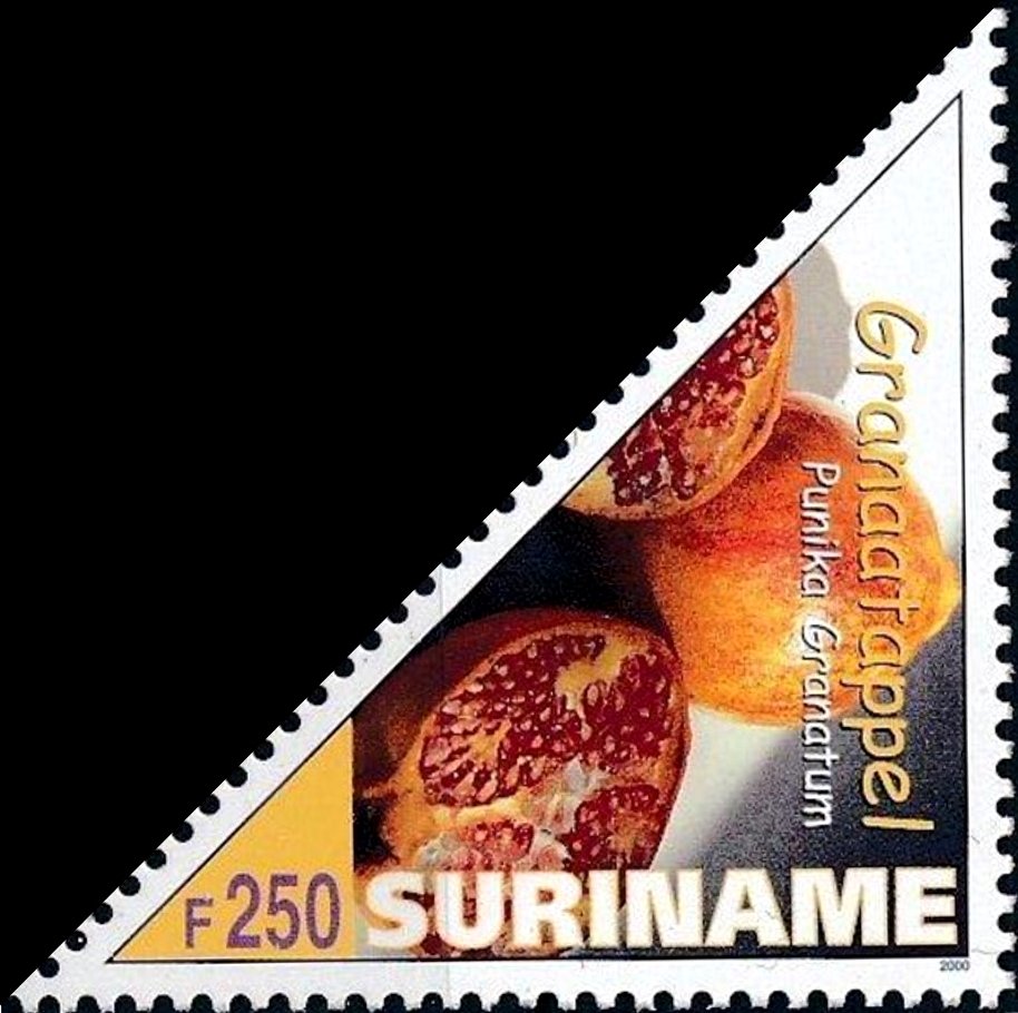 Pomegranate