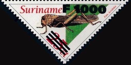 Acrididae (Overprinted)