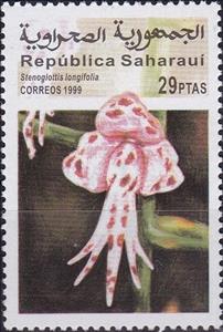 Stamp, Stenoglottis longifolia, Cinderellas,  , Flowers