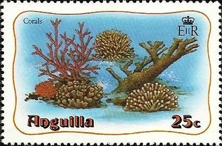 Coral
