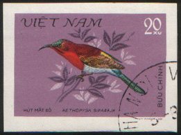 Crimson Sunbird (Aethopyga siparaja)