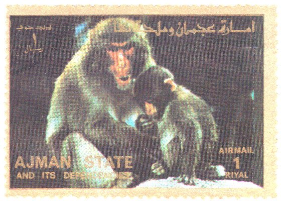 Monkeys