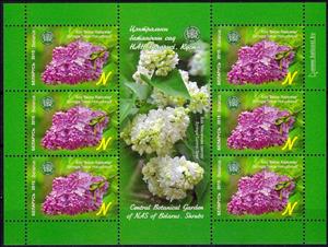 Mini Sheet, Syringa 'Vera Khoruzhaya', Belarus,  , Flowers, Plants (Flora)