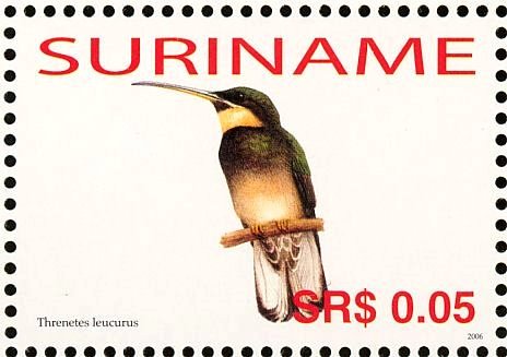 Pale-tailed Barbthroat    Threnetes leucurus