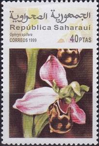 Stamp, Ophrys apifera, Cinderellas,  , Flowers, Orchids