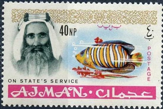 Sheik Rashid and Royal Angelfish (Pygoplites diacanthus)