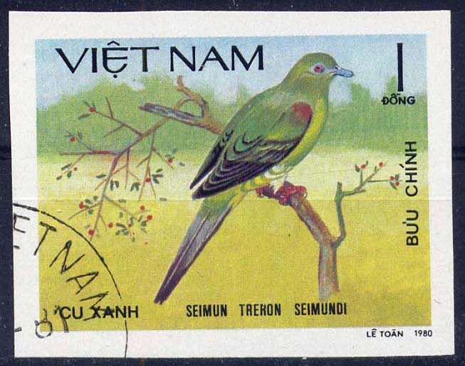 Yellow-vented Green-pigeon (Treron seimundi)