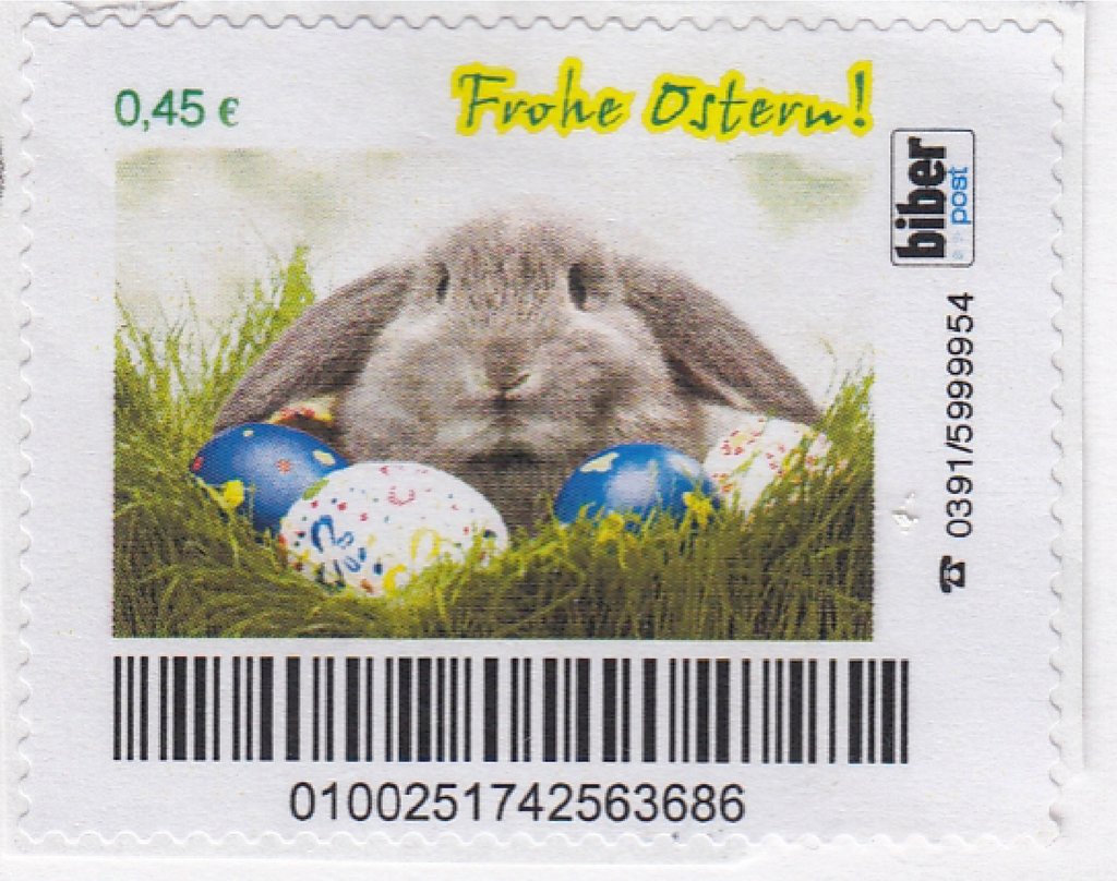 Rabbit (Oryctolagus cuniculus forma domestica) - Easter 2011