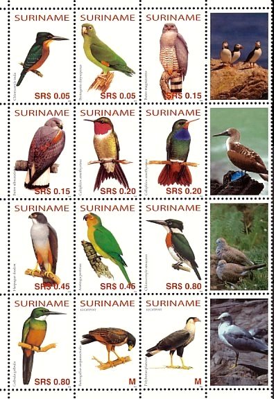 Birds