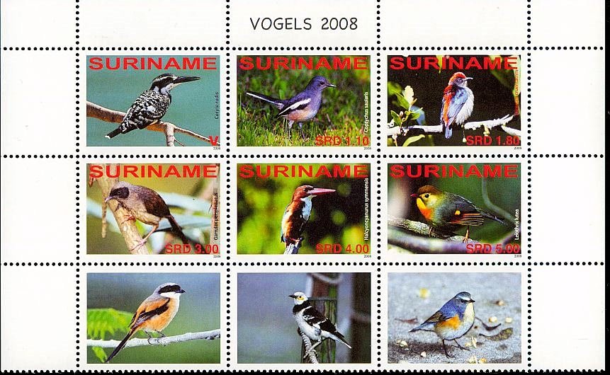 Birds