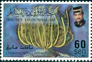 Stamp, Oxycomanthus bennetti, Brunei Darussalam,  , Animals (Fauna), Sea Life