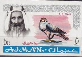 Shaikh Rashid and Lanner Falcon (Falco biarmicus)